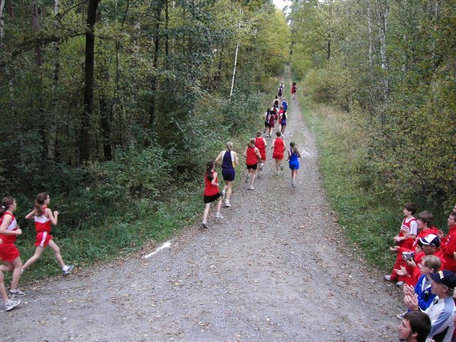 cc012 rounding the first turn.jpg 130.4K